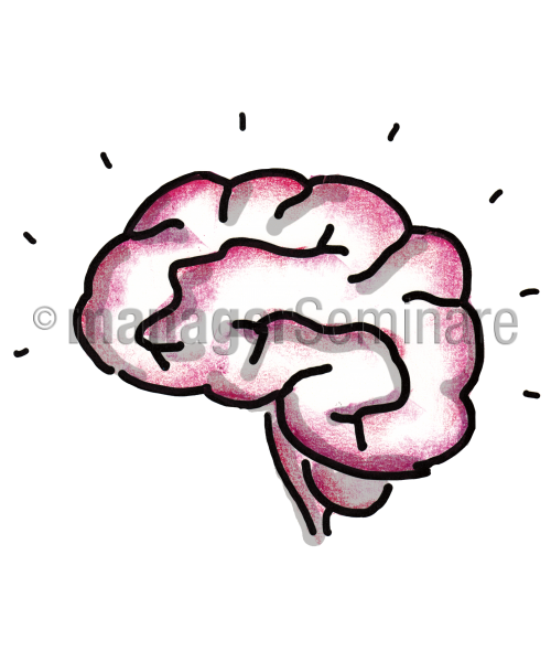 Zeichnung Gehirn