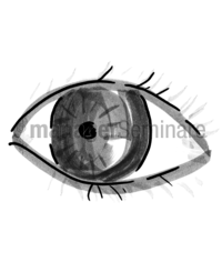 Zeichnung Auge 2