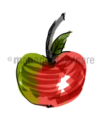 Zeichnung Apfel
