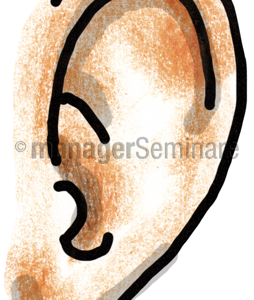 Zeichnung Ohr