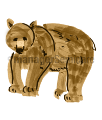 Zeichnung Bär