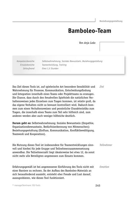 EQ-Tool: Bamboleo-Team