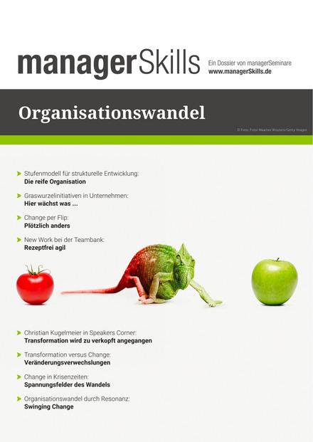 Dossier Organisationswandel #1