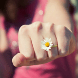 Sympathie schlägt Argument