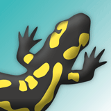 Balanceakt zwischen den Ansprüchen