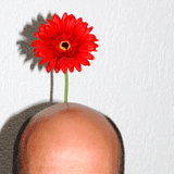 Unlogisch überzeugen