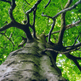 Die innere Stärke wecken