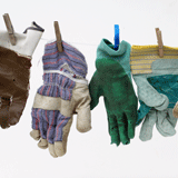 Weiter mit den Willigen