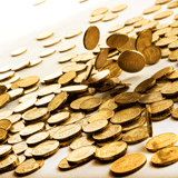 Kröten aus dem Netz