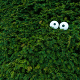 Auffällig unauffällig