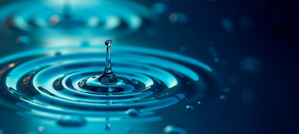 Artikel Selbstregulation in der Kommunikation