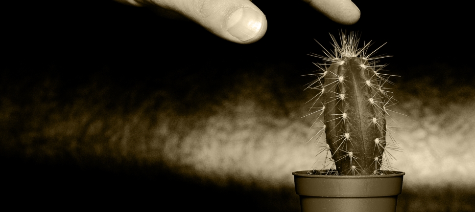 Artikel Trainingsspitzen