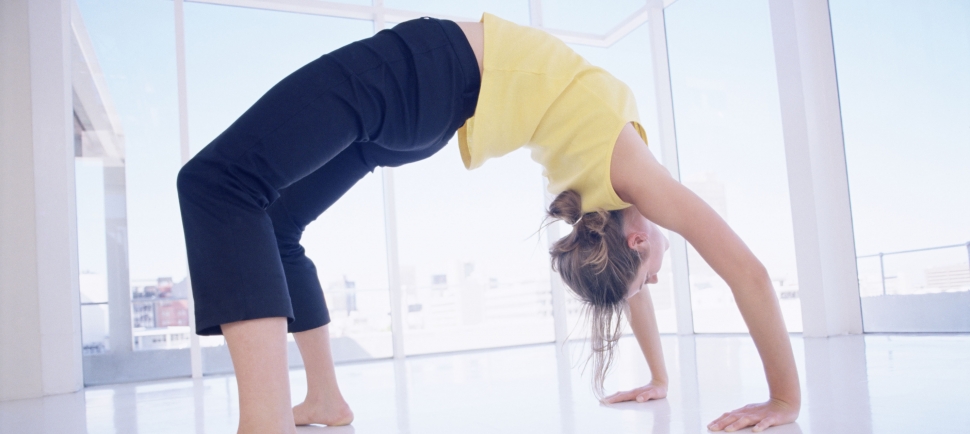 Artikel Trendstudie – Weiterbildungsszene Deutschland 2015