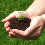 Piksen und Provozieren