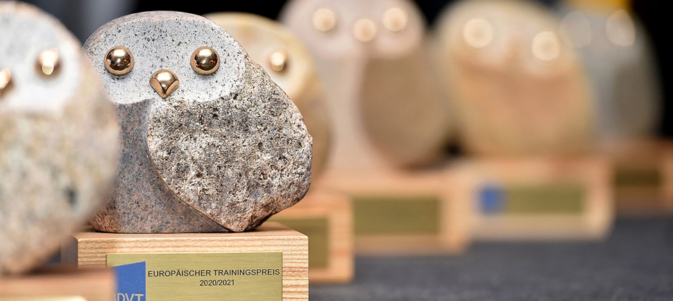 Europäischer Trainingspreis 2021