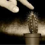 Alles Neuro? Logisch!