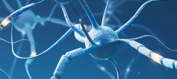 Webinar-Reihe: NeuroWissen