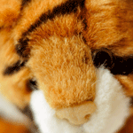 Vorher an nachher denken