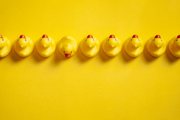 Sascha Theobald startet WebParade für Solo-Selbstständige