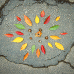 Das Coaching-Mandala