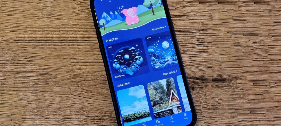 Artikel Praxistest „Lojong“