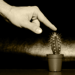 Lernen darf eine Zumutung sein!