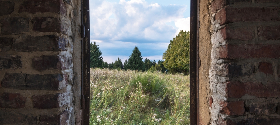 Artikel Preframing im Seminar