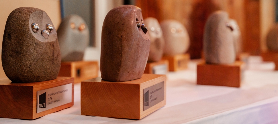 Artikel Europäischer Trainingspreis 2025