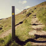 Konstruktivistische Zielklärung