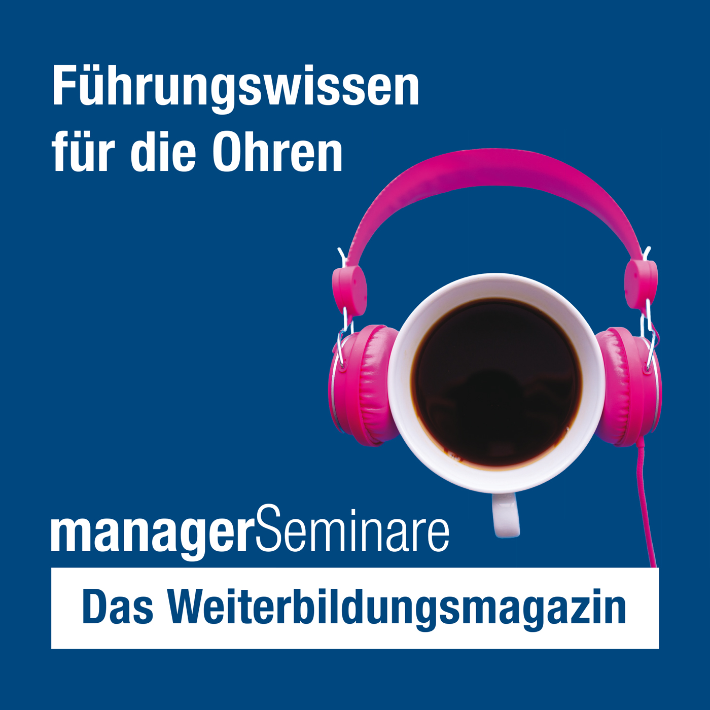 managerSeminare - Das Weiterbildungsmagazin logo