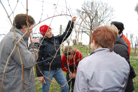 Führen lernen im Weinberg
