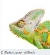 Die meist gelesenen Beiträge aus 2017