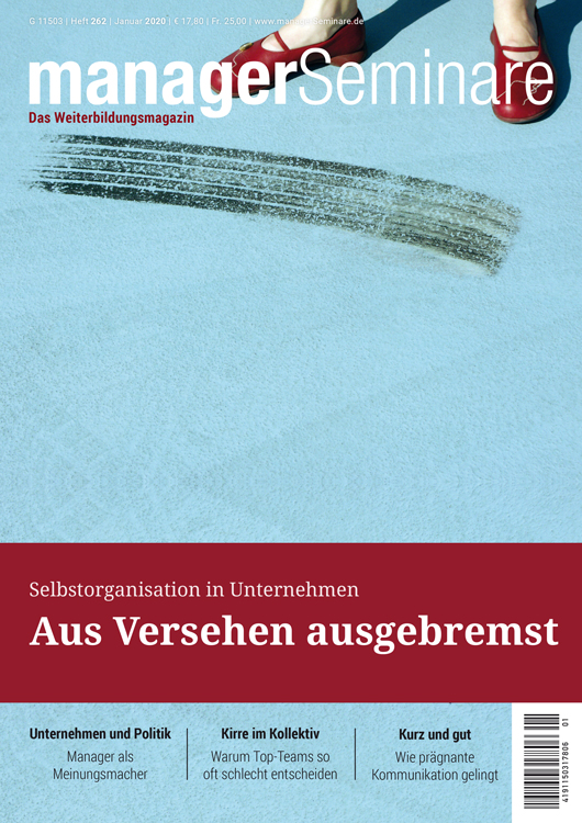 Aus Versehen ausgebremst – Selbstorganisation in Unternehmen