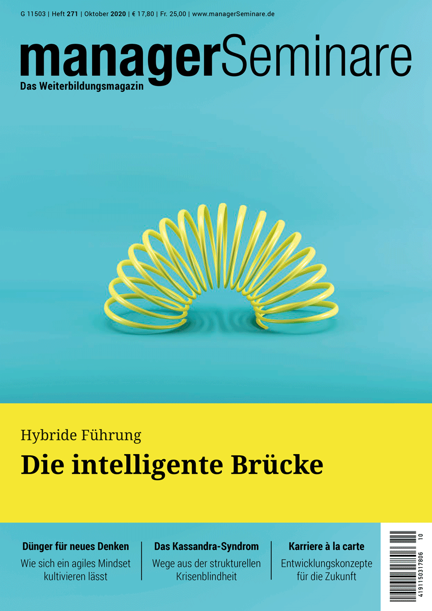 Brückenbauer Führung