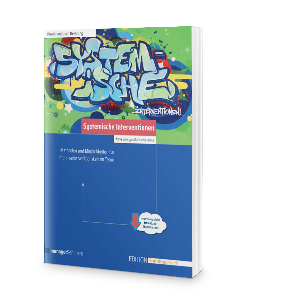 Buchabbildung Systemische Interventionen