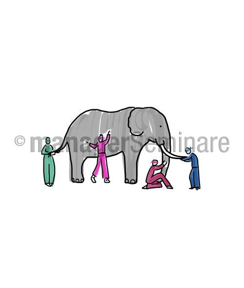 Blinde und Elefant