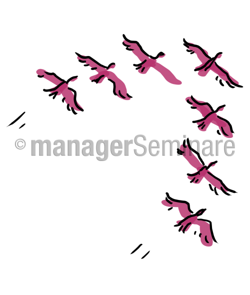 Gänse