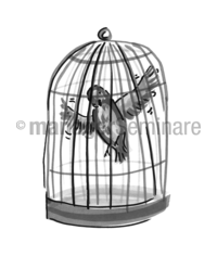 Zeichnung Vogel im Käfig