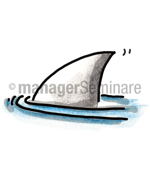 Zeichnung Hai