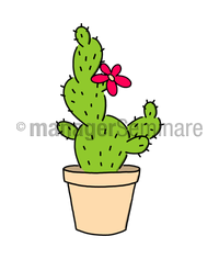 Zeichnung Kaktus 2