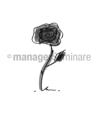 Zeichnung Rose