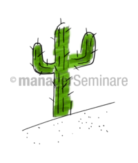 Zeichnung Kaktus