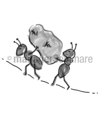 Zeichnung: Zwei Ameisen mit schwerer Last
