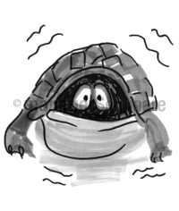Zeichnung Ängstliche Schildkröte