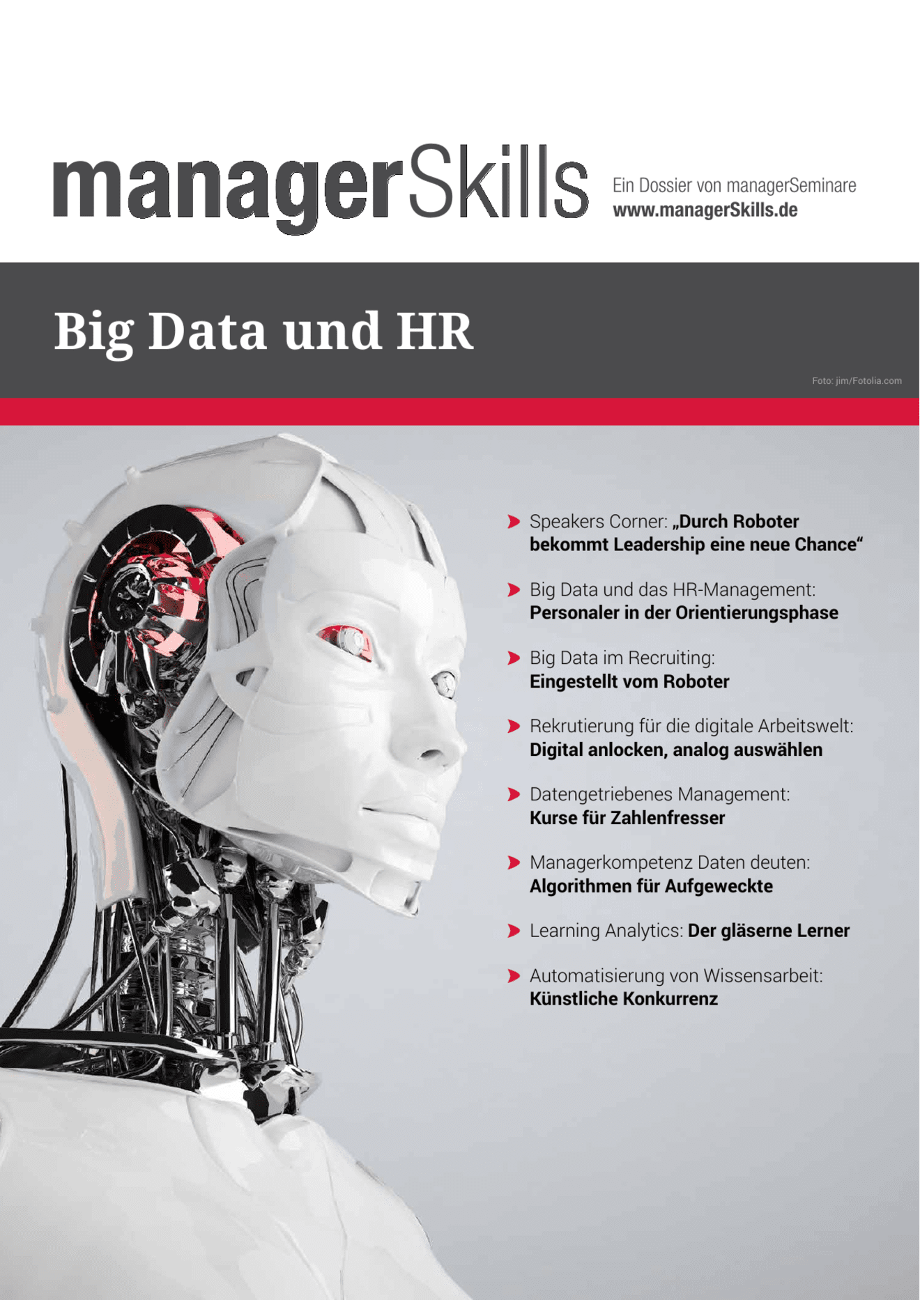 zum Dossier: Big Data und HR