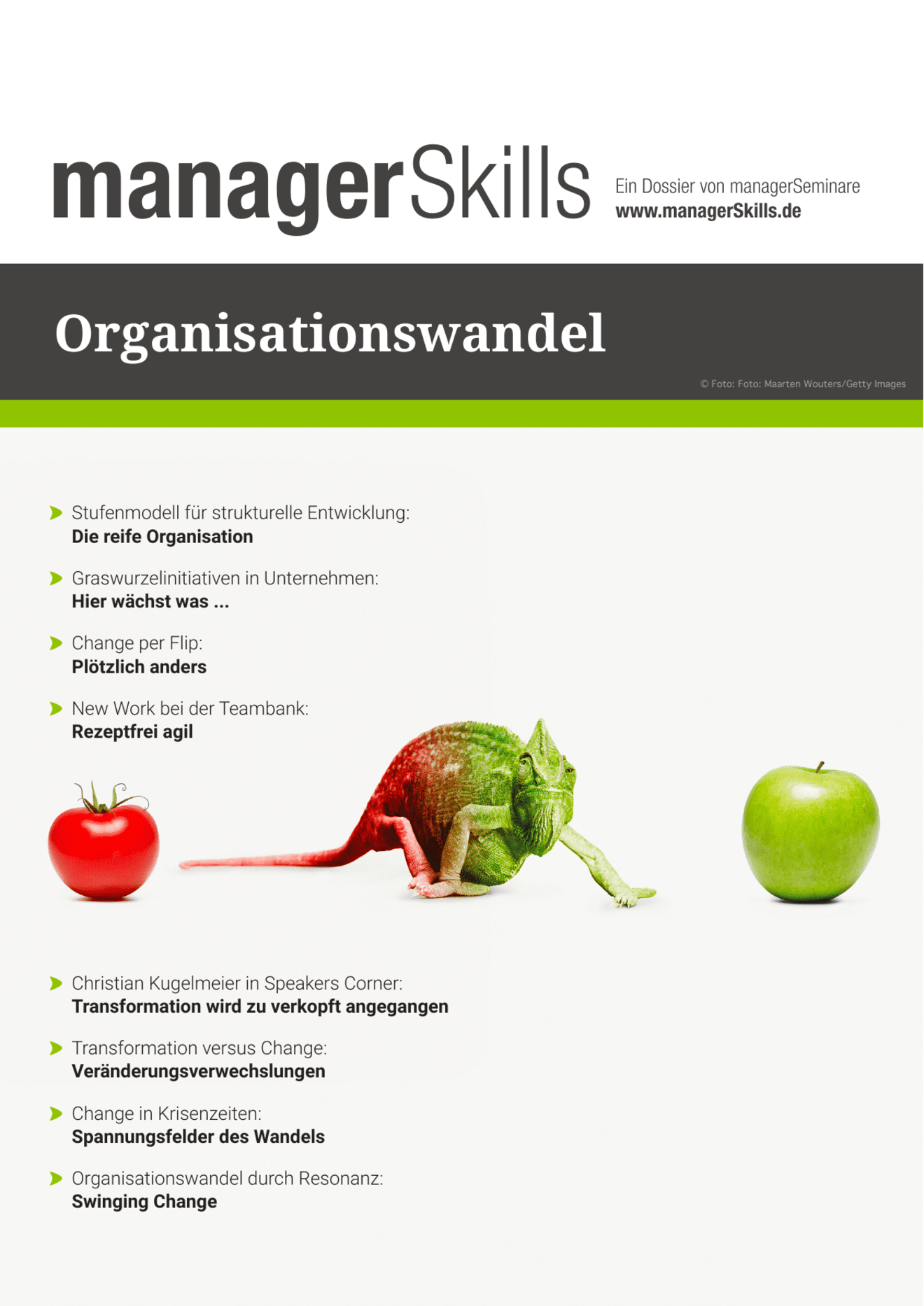 zum Dossier: Organisationswandel #1