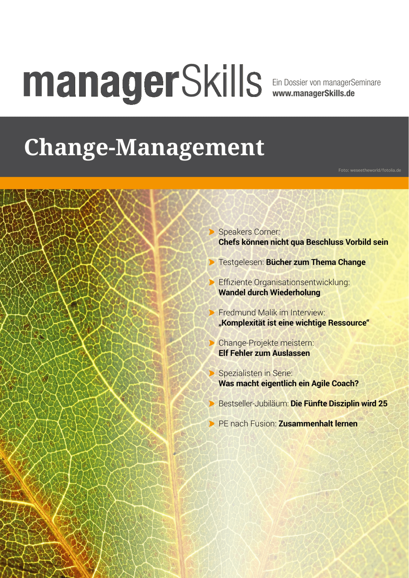 Dossier Change Management #1