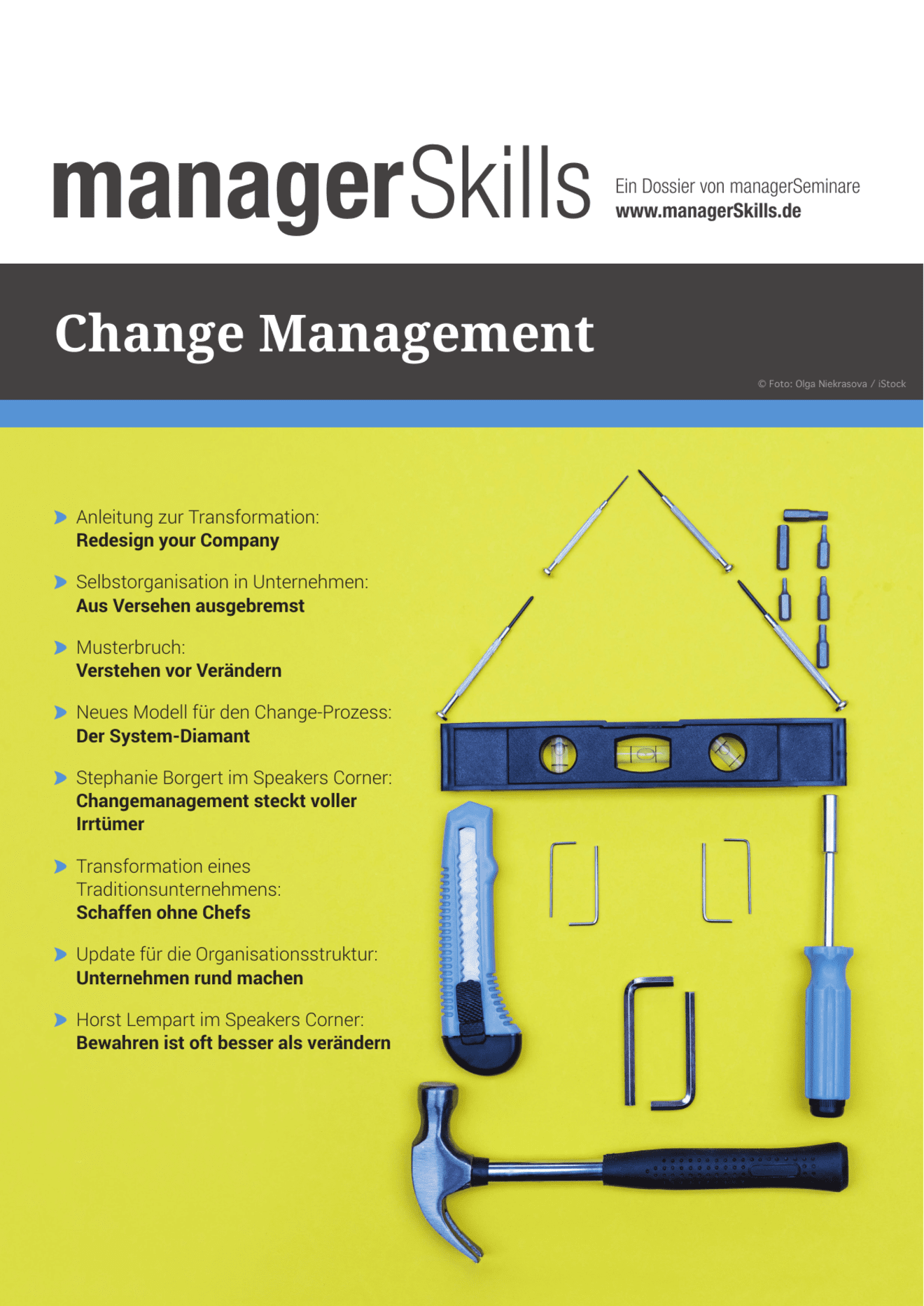 zum Dossier: Change Management #2