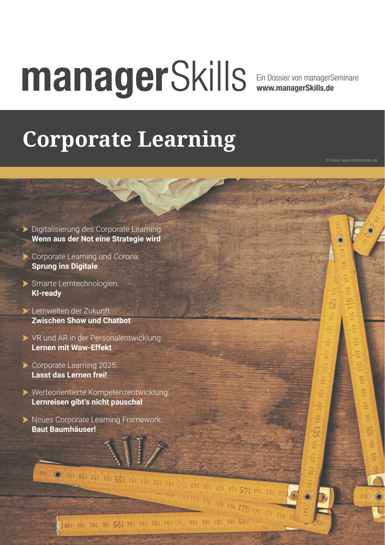 zum Dossier: Corporate Learning #2