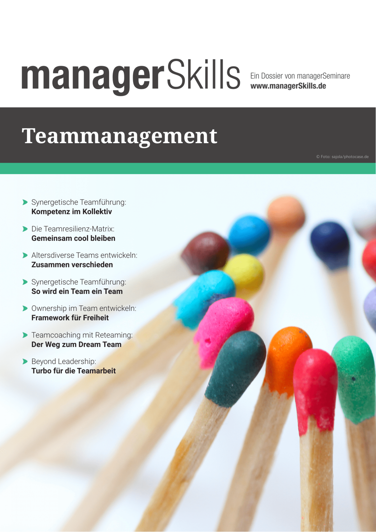 zum Dossier: Teammanagement